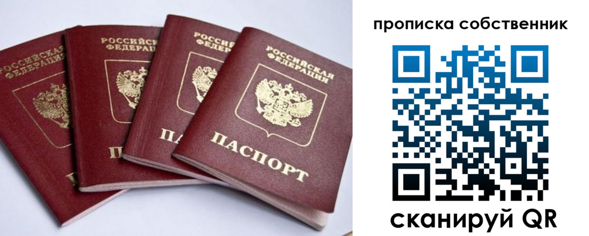 прописка для школы в Вязьме