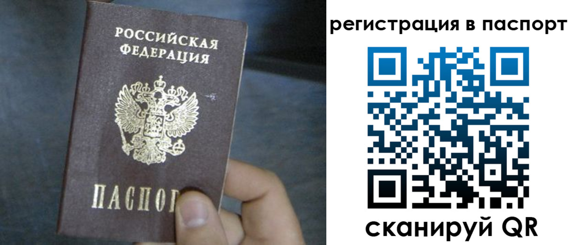 прописка 2025 в Вязьме